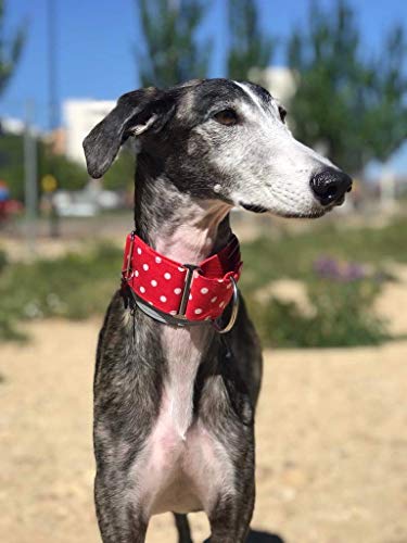 4GUAUS Collar Martingale Perros - Modelo Lunares Rojo