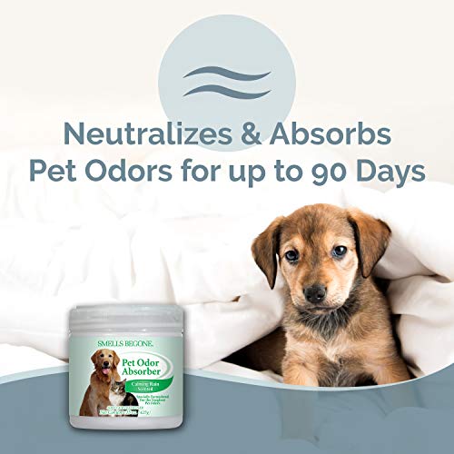 Smells Begone Air Freshener Pet Odor Absorber Gel - Made With Essential Oils - Absorbs And Eliminates Odor In Pet Areas, Bathrooms, Cars, & Boats - Calming Rain Scent - 15 Ounce - 2 Pack #TOP1