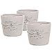 4 inch Rustic White Ceramic French Parisian Postcard Tabletop Succulent/Herb Planter Pots (Set of 3)