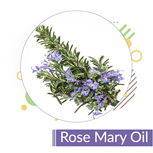 Image of B-URBAN Rose Mary (Salvia Rosamarinus) Oil,100% Pure & Natural Undiluted Essential Organic Rosemary Oil for skin & hair care - 30ML