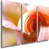 Leinwandbilder werden fertig auf Keilrahmen gespannt. Hochwertiger Stabiler Holzrahmen: Stärke 20 mm