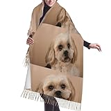 cani shih tzu in vendita 💛Dimensioni: la nostra sciarpa misura 196x68 cm / 77x27 pollici, include la nappa.Questa sciarpa di grandi dimensioni non solo come sciarpa tradizionale, ma anche come scialle avvolgente e coperta.I dettagli con frange alle estremità aggiungono un tocco di divertimento casual e civettuolo Fascino. Coprilo liberamente per accessoriare il tuo guardaroba per ogni occasione.