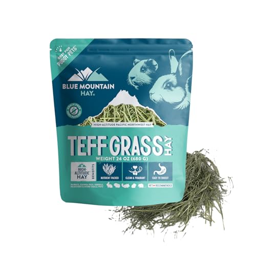 Blue Mountain Hay Teff Grass Hay for Small Pets, High Fiber Feed, 24oz
