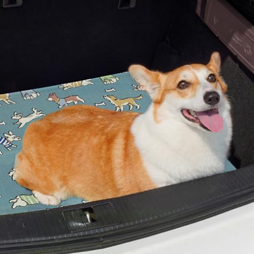 Coussin de refroidissement pour chien : évitez le coup de chaud avec la soie glacée