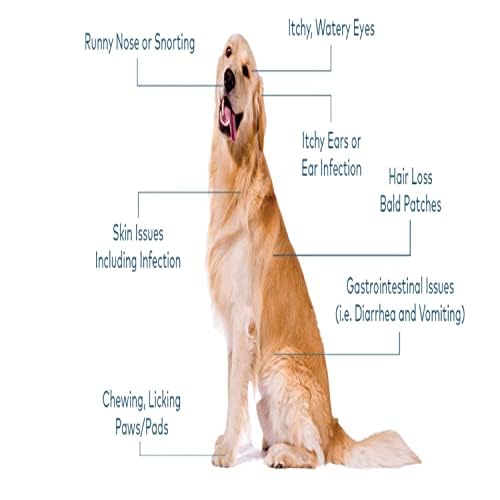Image of Bio PetActive Biodermdog Biotin and Zinc Tablet for Dogs 0,5 g 75 Tablets Helps in Support Gut Health & Maintain Healthy Skin Condition