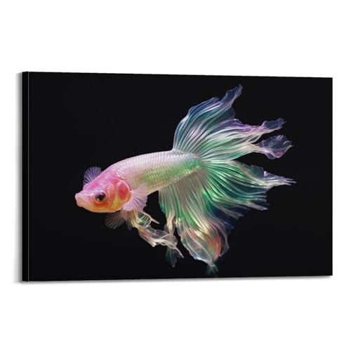 Poster poisson de combat thaïlandais QLLS sur toile 50 x 75 cm pour chambre