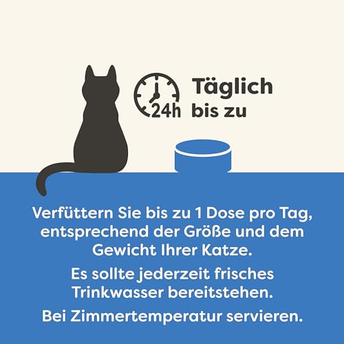 Applaws 100% natürliches Premium-Nassfutter für Katzen, Fischauswahl-Multipack in Brühe - Packung mit 12 x 156g Dosen