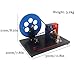 JDXQBLD Hand-Crank AC and DC Generator Model Physics Faraday Hand-Crank Generator Electromagnetic Electricity Generation Teaching Instrument Hand Cranked AC and DC Generators Woo