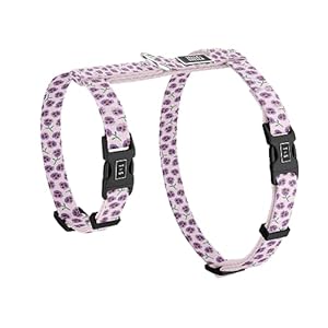 Tella & Stella Escape Proof Cat Harness for Walks – Adjustable Fit for Neck 7 in to 12 in & Chest 10 in to 17 in – Lightweight, Soft, and Comfortable Design – 4-Point Safety Buckles (Violet)
