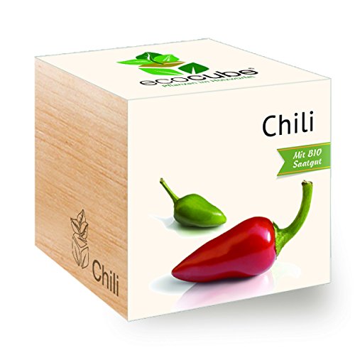 Chili im Holzwürfel mit Bio-Samen