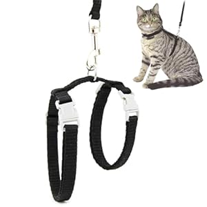 SGERUFZ Lot de 1 Harnais Réglable pour Chat Gilets pour Chat Grand avec Laisse Corde de Sécurité pour Chaton et Petit Chien Équipée de Boucles À Pression Résistant À L&rsquo;Évasion Confort