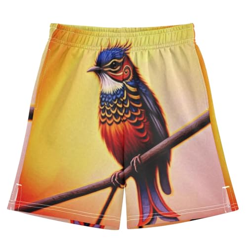 Colorful Bird Pull-On Kids Shorts Elastic Waist School Boys Thick Summer Shorts with Pockets XS - Main Image