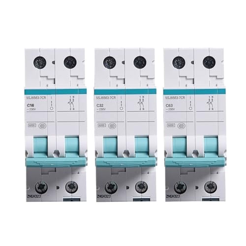 Disjoncteur miniature 5SJ6 2P 40A type C protège contre surcharges