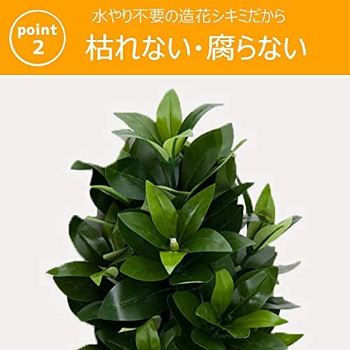 誓願堂造花しきみ 2本セット M 1対2本 約57cm 創価学会 水洗いOK 花粉なし アレルギー対策 長持ち 創価学会 しきみ 造花 仏壇 お得な2本セットしきみ MS あすつく 約