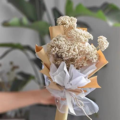Ramo Natural de Flores Secas de Mijo de 17 Pulgadas miniatura 4
