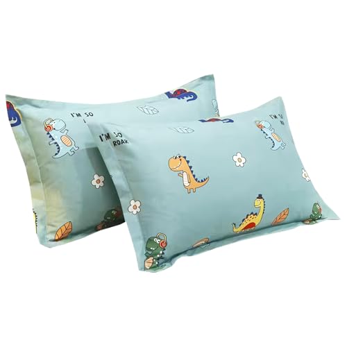 LHLZNB Juego de 2 fundas de almohada 100