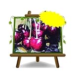 Van Cereza dulce árboles frutales Altura: 170 cm Edad: 2 años Jarrón: Diámetro 20 cm