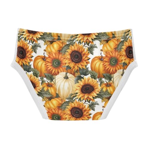 ODAWA Sunflowers Autumn Harvest Childrens Underwear, 2T Boys Underwear Briefs2