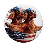 Zoom IMG-2 setter irlandese 4 luglio animale Zoom IMG-2 setter irlandese 4 luglio animale