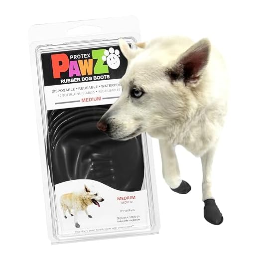 PAWZ Hundestiefel – leicht und einfach