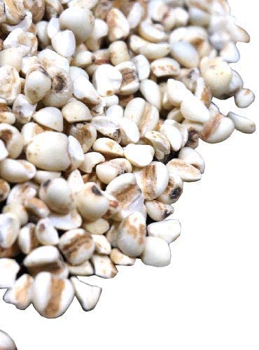 A É Y ͂Ƃނ  ngM Job's tears Adlay 悭ɂ NCj 䏐m ͂Ɣ ng G G (5kg)