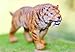 Gemini&Genius Smilodon Toy Figure for Kids, Saber-Toothed Tiger Animals Action Figure Toys for Kids (Smilodon)