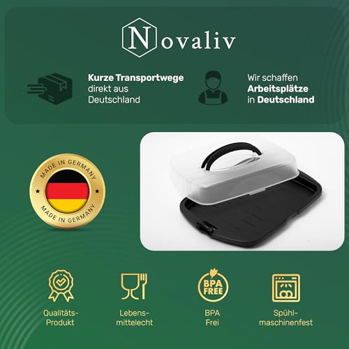 Novaliv Kuchen-Transportbox XL (Rechteckig 47 x 35 x 11 cm), Aufbewahrungsbox aufklappbar, Party-Box Container Tortentransportbox Tortenbehälter Behälter, Kuchen Torten Buffet Feier Transport Box