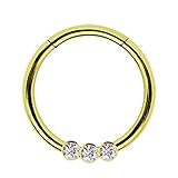 Modern Nature Piercing-Schmuck