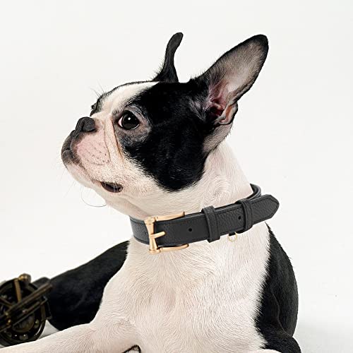 Collar de Cuero para Perro Padded Negro XL miniatura 2