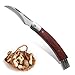 DRACHENADER N-1 Mushroom Knife with Brush Foraging Knife Hunting Harvesting Folding Mushroom Pocket Knife W/Liner Lock