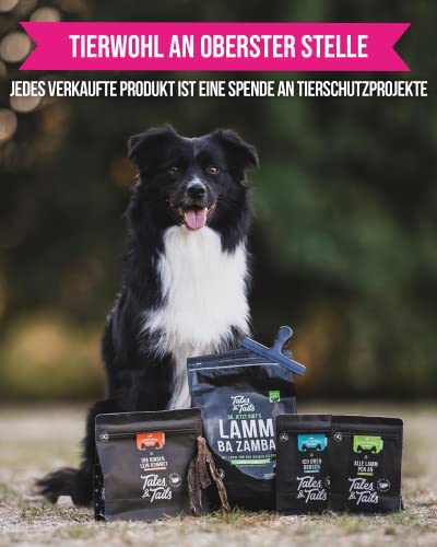 Tales & Tails Lachsöl mit Omega 3 für Hunde - Lachsflash | Ohne Künstliche Zusätze | Lachsöl für Hundefutter | 1x 240ml
