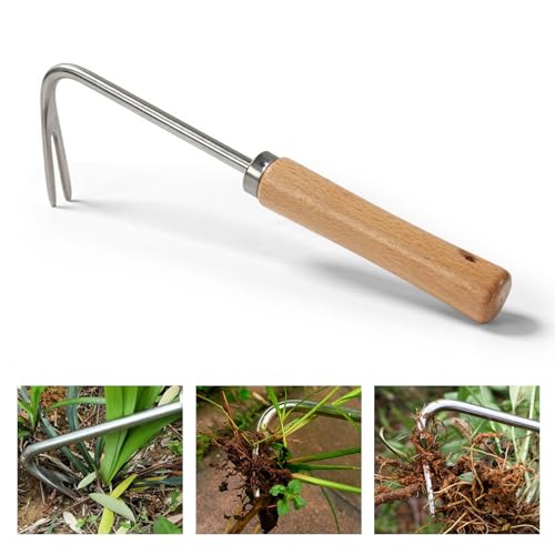 badaren Estirpatore Erbacce Manuale, Sarchiatrice Manuale, Sarchiatrice Manuale, Diserbatore Ad Arco per Scavare Il Giardino, Diserbare, Trapiantare, Attrezzo Manuale Terrazze, Prati, Cortili