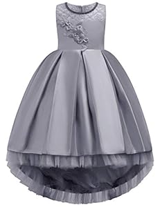 JOYMOM Girls Hi-Lo Lace Embroidery Pageant Wedding Flower Girl Ball Gowns  FBA | Amazon price tracker / tracking, Amazon price history charts, Amazon  price watches, Amazon price drop alerts | camelcamelcamel.com