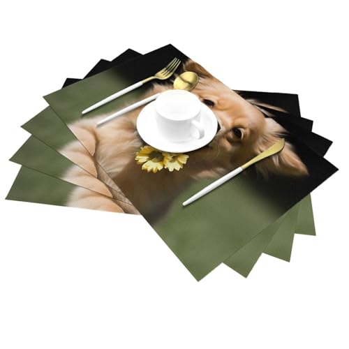 Sets de table faciles à nettoyer pour protéger la table des taches