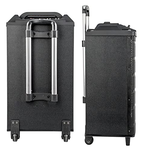 Image of Sonic 12 inch Bluetooth Trolley Speaker with USB, MMC FM Radio, 2 Wireless Mics for Karaoke and Functions with Recording Option,Echo Control for speeches