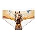 Coloranimal Western Aztec Sunflower Horse Underwear for Women Navajo Ethnic Africa Summer Seamless Hipster Panties for Ladies Full Coverage Elastic Underpants Breathable Briefs XL