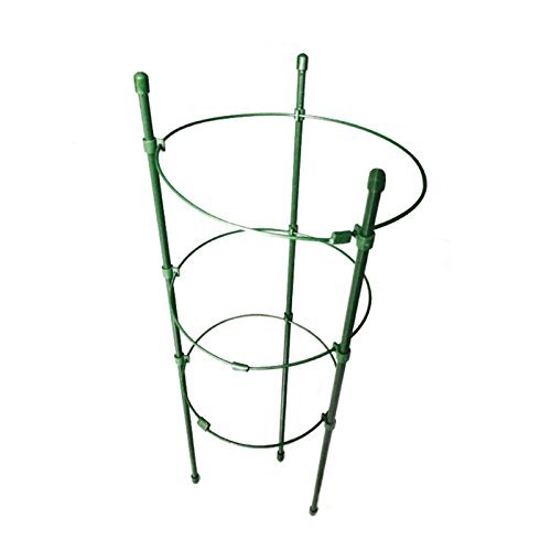Kofun Shizuhatagayama Garden Support pour Plantes grimpantes Plantes Conique Treillis Supporter Cadre 60 cm Vert Cover