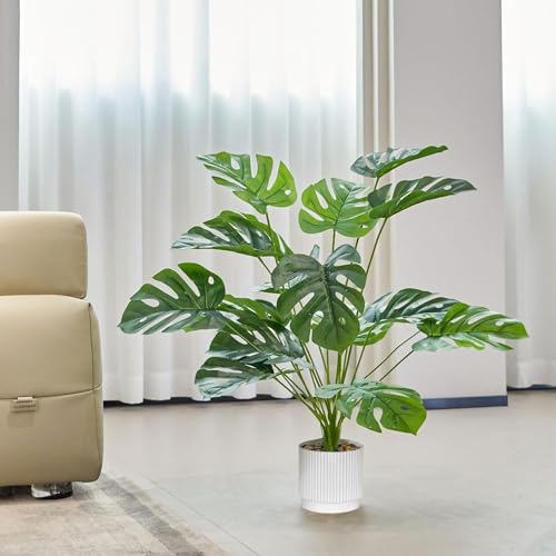 Home Page - Paul - Cosy Home Interiors