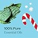 Plant Therapy Candy Cane Holiday Essential Oil Blend 10 mL (1/3 oz) Familiar, Sweet, Minty Aroma, Evokes The Scent of The Traditional Candy Cane, Use Topically, Uplifting and Invigorating Feeling