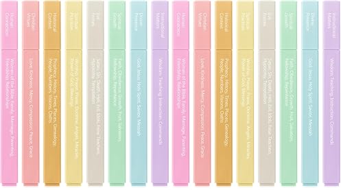 Mr. Pen Bible Highlighters 16 Pack