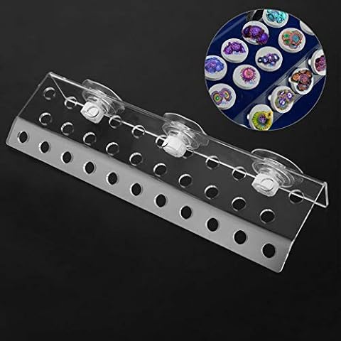 Pssopp Frag Rack Coral Rack Transparente Coral Frag Rack Korallen Frag Rack Acryl Korallen Halterung Aquarium Reef Fish Tank Coral Halterung Rack Cover