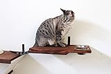 CatastrophiCreations Cat Dining Table Handcrafted Wall-Mounted Feeder Shelf