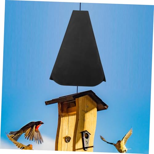 Cloisons anti-écureuils pour observer les oiseaux du jardin en toute sérénité