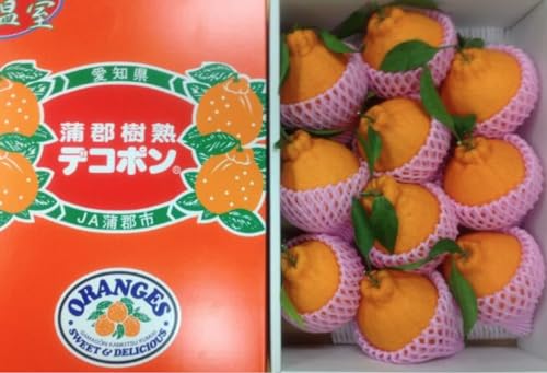 ���m���Y JA���S�s �f�R�|�� ���S���n�f�R�|�� �ԏG 2L�`5L�T�C�Y 7�`12�ʁi��3kg�j���ϔ����� �ł��ۂ�/�f�R�|��/�݂���/�~�J��/����/���k/���S �f�R�|��/�����p/�t���[�c/�ʕ�/�M�t�g