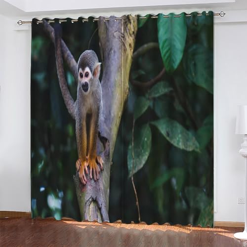 KaiHeBeding Cortinas Dormitorio Animal Cortinas Salon Mono Ardilla, Cortina con Ojal para Decorar de la Oficina en el Hogar 2 Piezas 140An x 160Al, Protección de la Intimidad Protección Solar