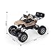 QIYHBVR RC Cars,1:10 Scale All Terrain Remote Control Car, 2.4GHz Off Road Monster Vehicle RC Truck Crawler with Dual Motors, Toy Gift for Boys Girls