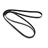 Continental 4070880 Serpentine Belt