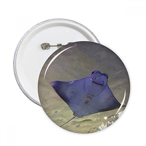 Pins badge rond raie océan nature science XL x5 boutons décoration vêtements multicolore