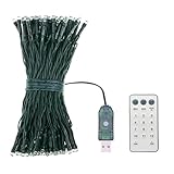 YUCHOI USB Powered LED Christmas Lights, Color Changing Warm to Multi String Fairy Lights On Dark Green Cable with Remote Control, for Indoor/Outdoor Xmas Tree Deco Party (10m-100led) - Image 6