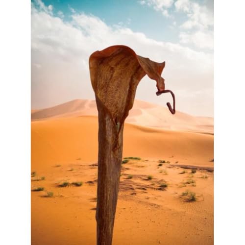 1 Pcs Artificial Cobra Lily Pitcher Plant Stem Carnivorous Plants - Brown